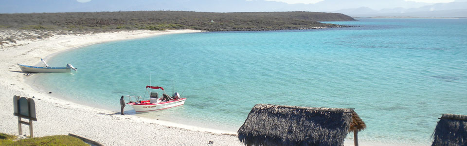 Boat in the Water at Loreto Playa